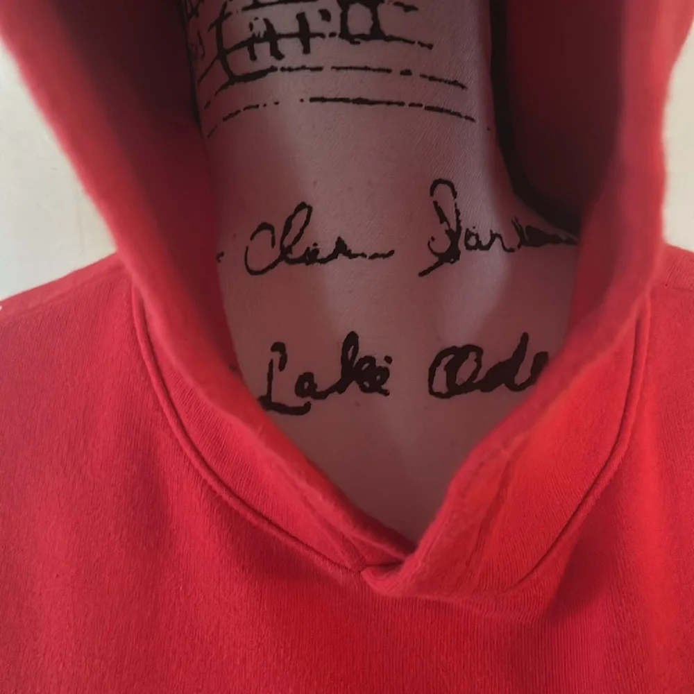 Sonic the Hedgehog Hoodie